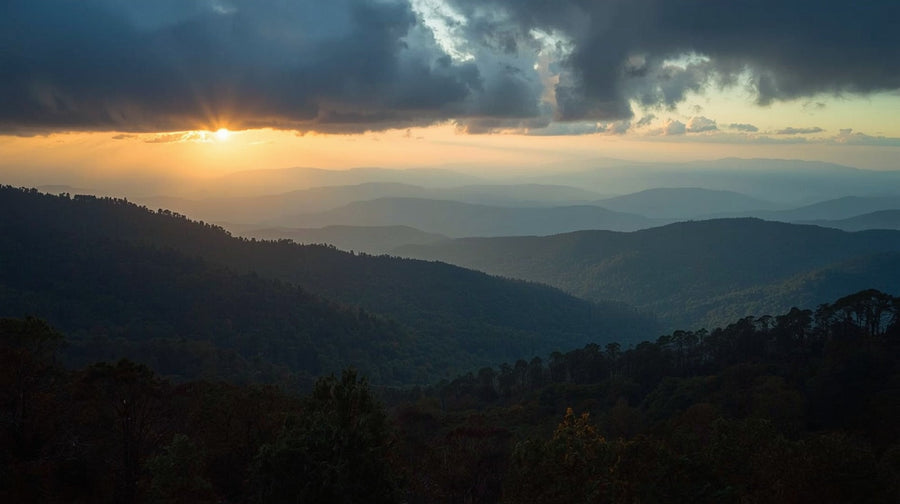 North Carolina