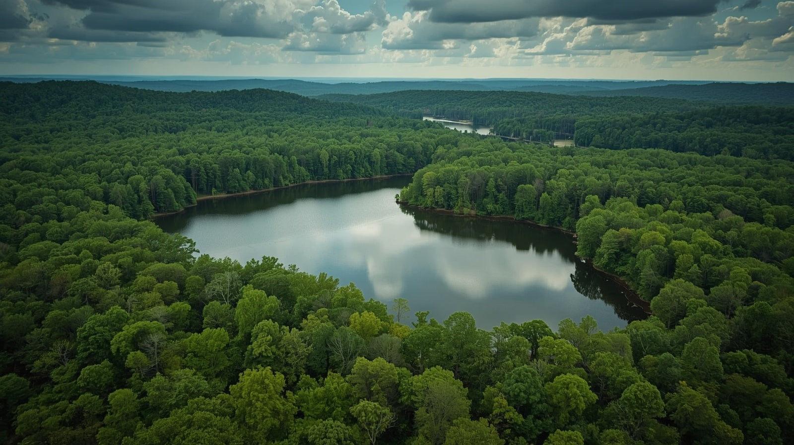 Arkansas